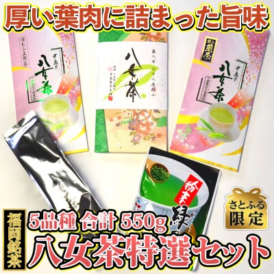 【さとふる限定】福岡銘茶八女茶 特選セット5種合計550g 老舗製茶店の逸品(大刀洗町)