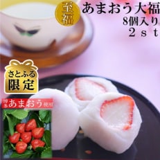 【さとふる限定】あまおう大福 16個 50g&times;8個&times;2箱(計800g) 化粧箱入(大刀洗町)