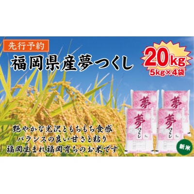 【令和8年産　新米】9月～発送【食味鑑定士厳選】福岡県産夢つくし20kg(5kg×4袋)(大刀洗町)