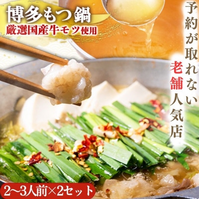 【予約が取れない老舗人気店】博多もつ鍋2～3人前×2セット　博多もつ鍋太閤(大刀洗町)