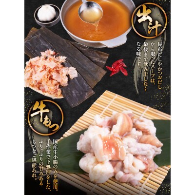 【毎月定期便】老舗人気店!博多もつ鍋2～3人前(大刀洗町)  全12回