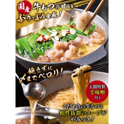 【毎月定期便】老舗人気店 博多もつ鍋4～5人前(大刀洗町)  全6回