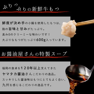 もつ鍋セット 6人前(もつ600g) 濃縮醤油スープ(大刀洗町)