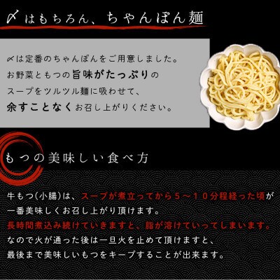 味付きもつ鍋セット 6人前(もつ600g) 濃縮醤油スープ(大刀洗町)