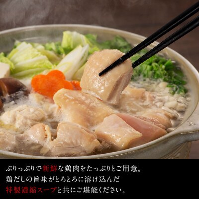 【うまか～っ】博多名物もつ鍋&水炊き3～4人前セット!とにかく味にこだわった逸品(大刀洗町)