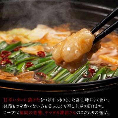 【うまか～っ】旨辛仕立ての博多もつ鍋&福岡水炊き6～8人前セット!味にこだわった逸品(大刀洗町)