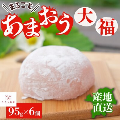 【先行受付】あまおう農家さんがつくる!!あまおう大福(冷凍)95g×6個(大刀洗町)