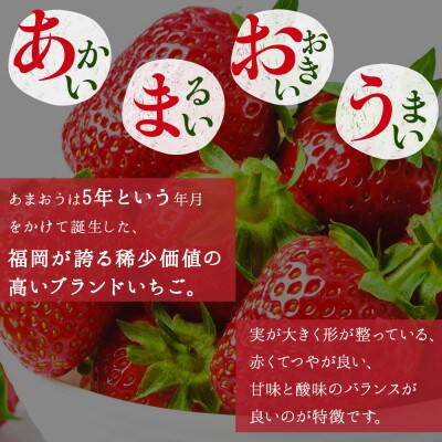 【先行受付】あまおう農家さんがつくる!!あまおう大福(冷凍)95g×6個(大刀洗町)