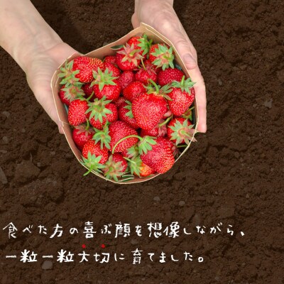 【先行受付】冷凍あまおう1kg(大刀洗町)