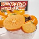 秋王(あきおう)約1.5kg箱(4-6玉)(大刀洗町)