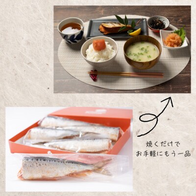 いわし明太　5尾入×3箱