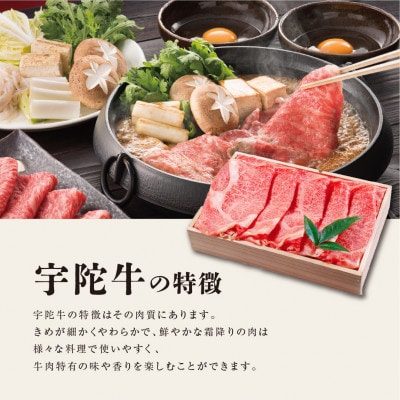宇陀市名産品 認定 宇陀牛 黒毛和牛 大判 焼肉 クラシタ ロース 約600g BBQにオススメ