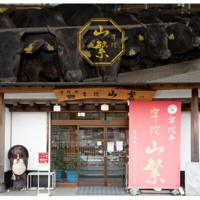宇陀市名産品 認定 宇陀牛 黒毛和牛 大判 焼肉 クラシタ ロース 約600g BBQにオススメ