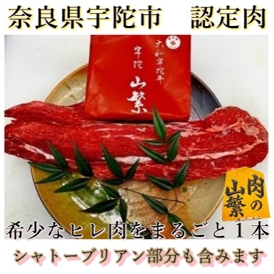 認定 宇陀牛 希少なヒレ肉 丸ごと 3キロ以上 BBQ 焼肉 ステーキ 令和7年4月 真空チルド発送