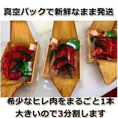 認定 宇陀牛 希少なヒレ肉 丸ごと 3キロ以上 BBQ 焼肉 ステーキ 令和7年4月 真空チルド発送