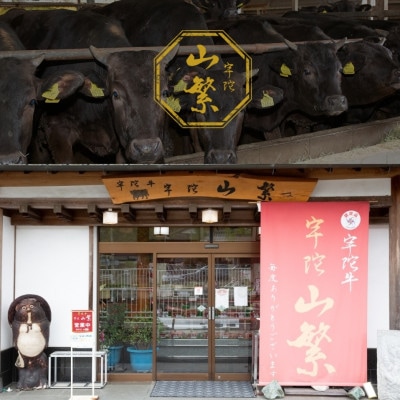 宇陀牛 切り落とし 500g 訳あり 冷凍 宇陀山繁