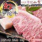 【毎月定期便】特産黒毛和牛 宇陀牛 サーロイン ステーキ 5枚 1kg 牛肉マニア 生肉発送全3回