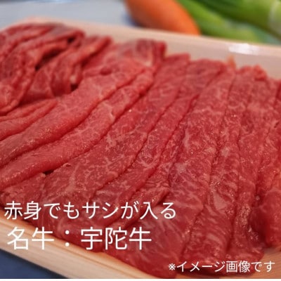 【2週間毎定期便】おウチご飯 2種の宇陀牛 お肉デリバリー 特上焼肉 赤身すき焼 各400g全24回