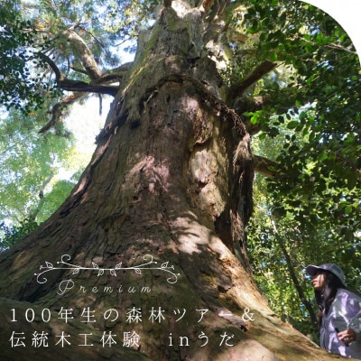 100年生の森林ツアー & 伝統木工体験 inうだ プレミアム / ハイキングと木工体験が楽しめる