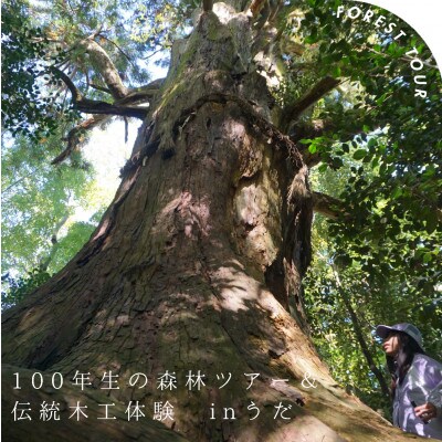 100年生の 森林ツアー & 伝統木工体験 inうだ 2025 夏 / 7月25日(金)　午後の部