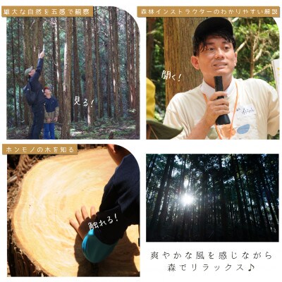 100年生の 森林ツアー & 伝統木工体験 inうだ 2025 夏 / 7月25日(金)　午後の部