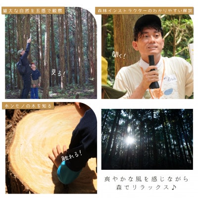 100年生の 森林ツアー & 伝統木工体験 inうだ 2025 夏 / 7月26日(土)　午前の部