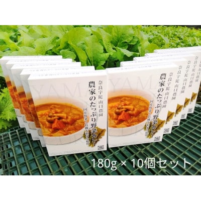 農家のたっぷり野菜カレー10入