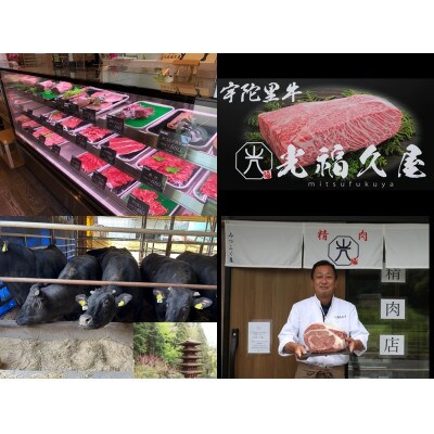 R7年2月発送 宇陀里牛 切り落とし ドドンと 約900g 安心安全な国産黒毛和牛
