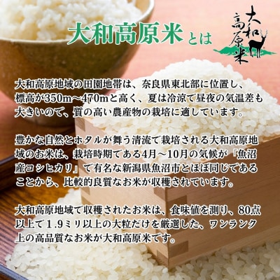 令和7年産にじのきらめき 白米5kg 特別栽培米 宇陀市産