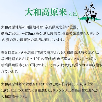 【発送月固定定期便】【さとふる限定】先行予約　令和7年12月～順次発送　コシヒカリ白米5kg全3回
