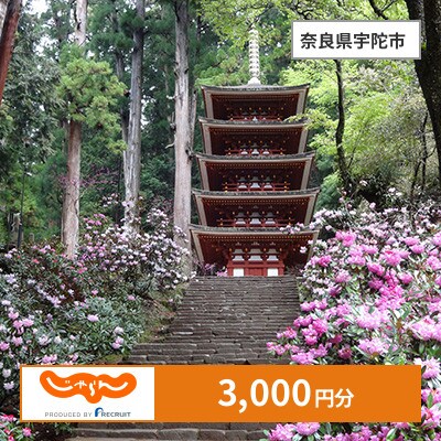 【じゃらんふるさと納税クーポン】 奈良県宇陀市でつかえる3,000円 クーポン