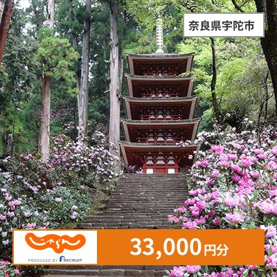 【じゃらんふるさと納税クーポン】 奈良県宇陀市でつかえる33,000円 クーポン