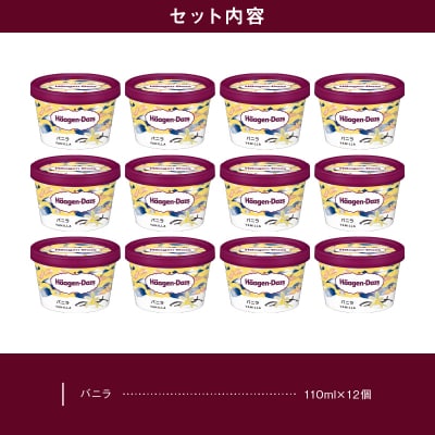 ハーゲンダッツ『ミニカップ12個セット(バニラ味)』アイスクリーム_H0016-198