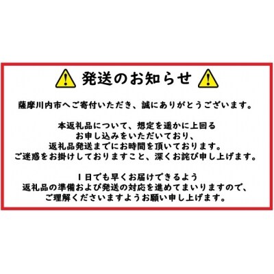 鹿児島県産黒豚ステーキハンバーグ5個入り ss0132
