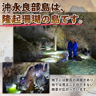 ドキドキ!ワクワク!ケイビング(洞窟探検)リムストーンケイブコース体験ツアー【1名様】