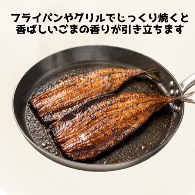 さんまみりん干し16枚　自家製の品!