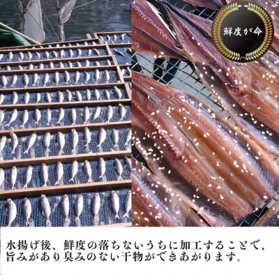さんまみりん干し16枚　自家製の品!