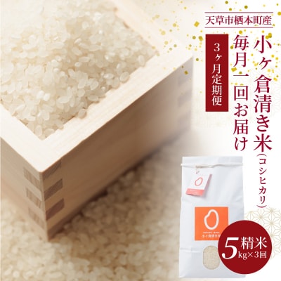 【3ヶ月定期便】天草市栖本町産　小ヶ倉清き米(コシヒカリ)　精米 5kg_S135-T01A