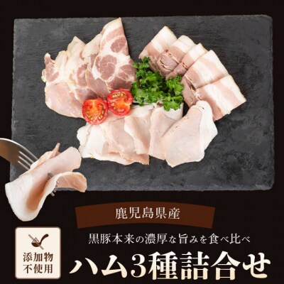 鹿児島県産黒豚ハム 3種詰め合わせ ss0698