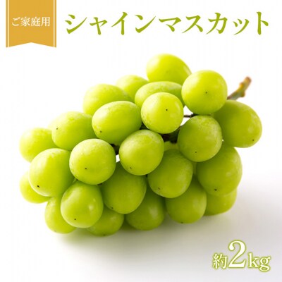 ぶどう 2027年 先行受付 ご家庭用 シャインマスカット 青秀 約2kg[NO5765-1434]