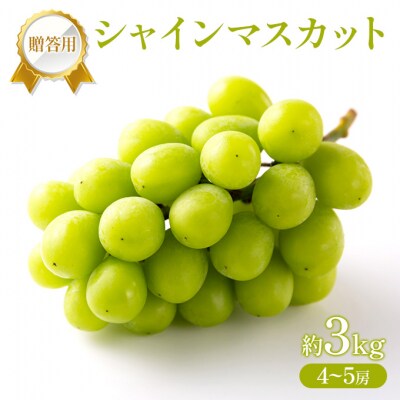 ぶどう 2027年 先行受付 贈答用 シャインマスカット 約3kg4～5房[NO5765-1436]