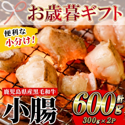 【お歳暮】鹿児島県産黒毛和牛の小腸 ホルモン 300g×2P