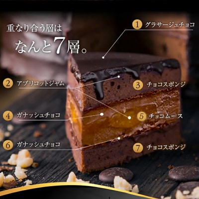 もりん クリスマスケーキ ザッハトルテ・くまちゃん 5号 サイズ_Z2600528