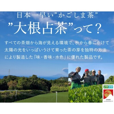 鹿児島茶 GOéN. 【ノウフクJAS認証茶】(100g×1袋) 059-2