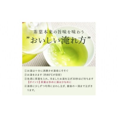 緑茶ティーバッグ【ノウフクJAS認証茶】(4g×10p) 054-3