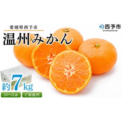  <愛媛県西予市産 温州みかん ご家庭用 約7kg> 訳あり わけあり 果物 フルーツ