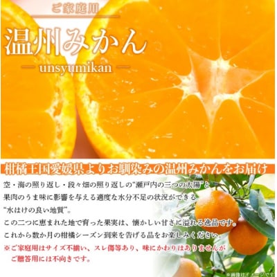  <愛媛県西予市産 温州みかん ご家庭用 約7kg> 訳あり わけあり 果物 フルーツ