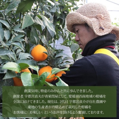  <愛媛県西予市産 温州みかん ご家庭用 約7kg> 訳あり わけあり 果物 フルーツ