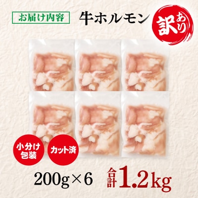 訳あり国産牛ホルモン1.2kg(小腸)牛もつ小分け200g×6　もつ鍋焼肉に[3046]