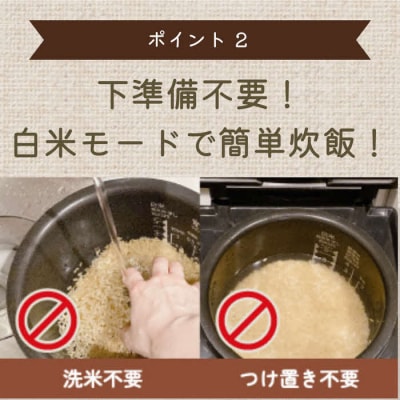 もちもち玄米【ぷちっともち玄米】洗米・つけ置き不要 炊飯器で簡単/子どもも喜ぶ/900g×6袋